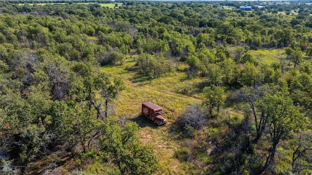 Listing photo 2 for TBD County Road 328, Eastland TX 76448