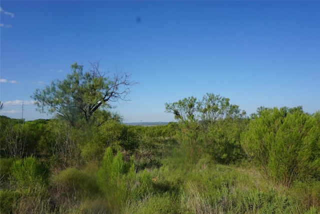 LOT465 Canyon Wren, Possum Kingdom Lake, TX 76449