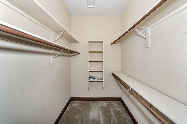 view of walk in closet