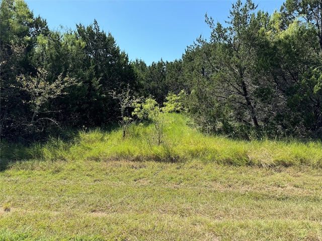 9036 Pleasant Dr, Whitney TX, 76692 land for sale