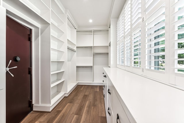 spacious closet with dark hardwood / wood-style floors