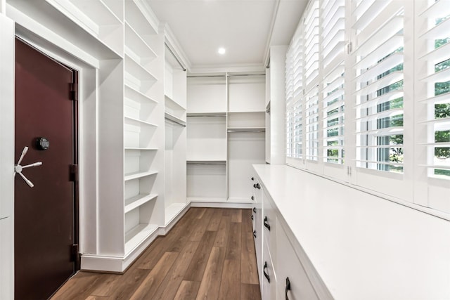 spacious closet featuring dark wood-style floors