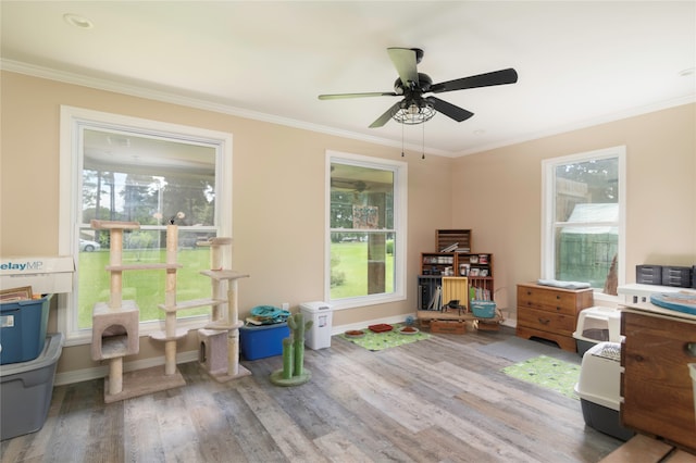 rec room featuring crown molding, plenty of natural light, ceiling fan, and hardwood / wood-style flooring