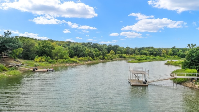 property view of water with a dock