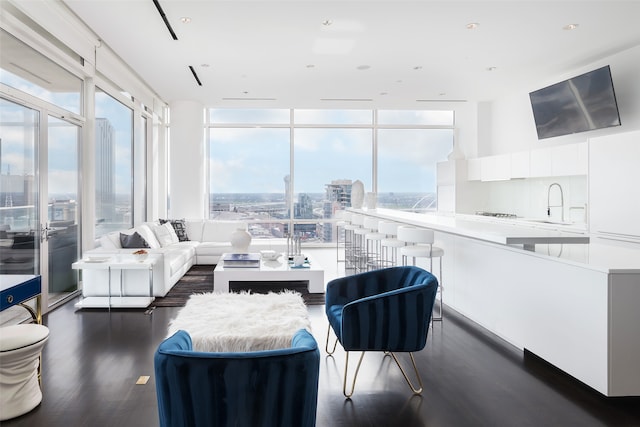 living room with a wall of windows and dark hardwood / wood-style flooring