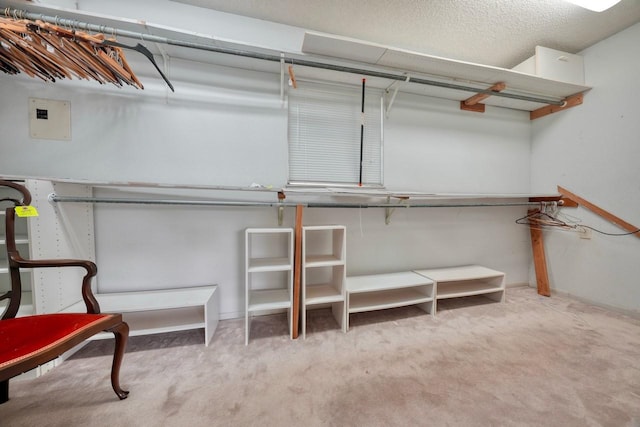 spacious closet featuring light carpet