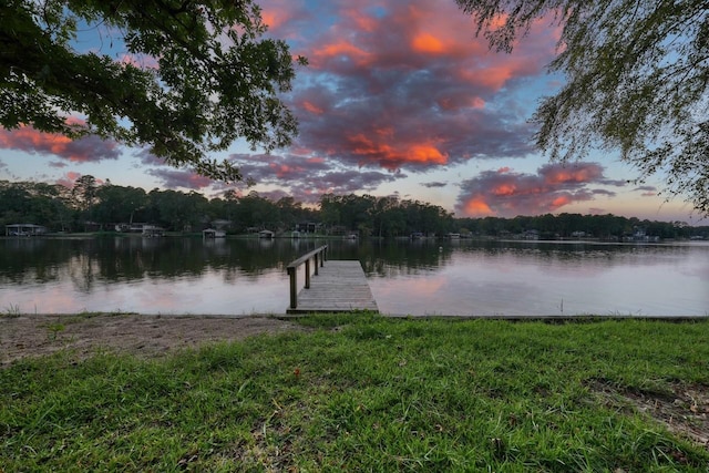 water view featuring a boat dock