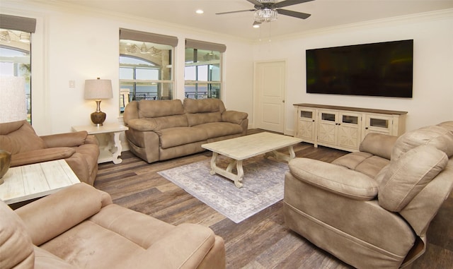 living room with dark hardwood / wood-style flooring, ceiling fan, and crown molding