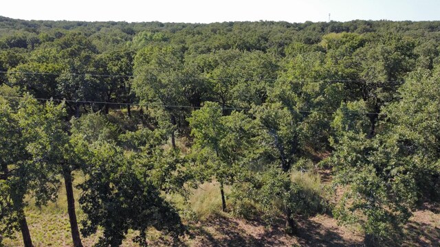 TBDLOT12 Casino Rd, Nocona, TX 76255