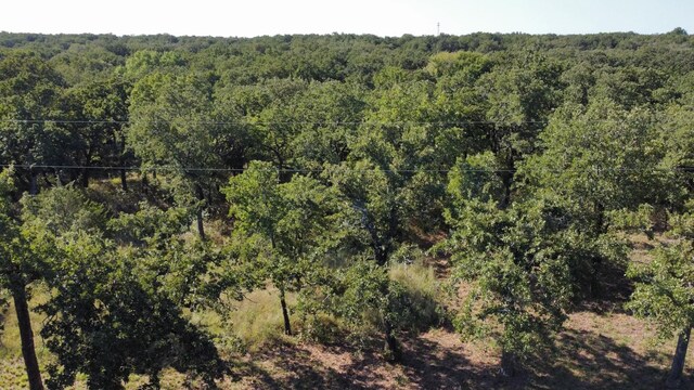 TBDLOT12 Casino Rd, Nocona, TX 76255