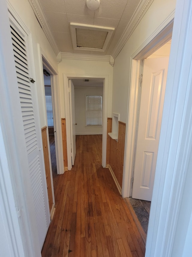 corridor featuring dark wood-type flooring and ornamental molding