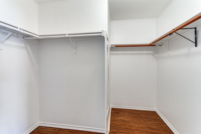 walk in closet with dark hardwood / wood-style flooring