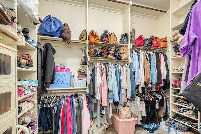 spacious closet featuring carpet flooring