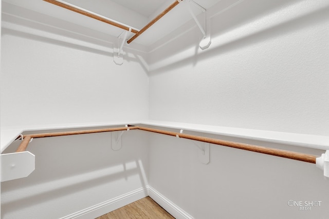 walk in closet with hardwood / wood-style floors