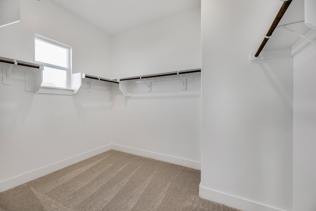 walk in closet with light colored carpet