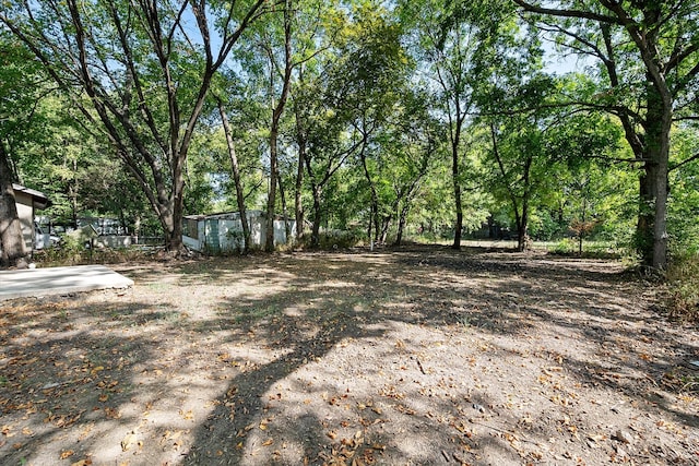 view of yard featuring a shed