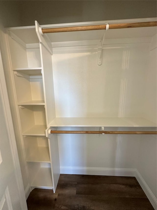 spacious closet with wood-type flooring