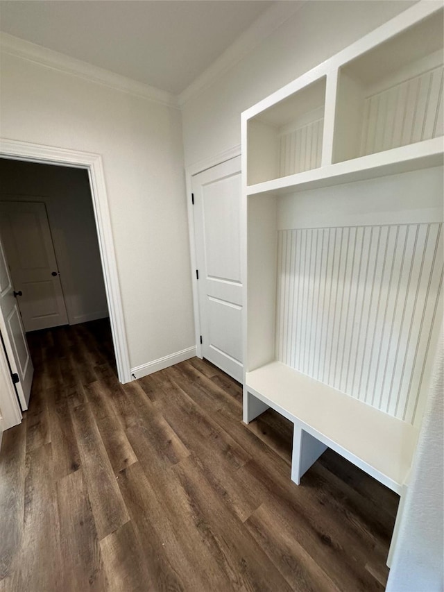 mudroom featuring dark wood-type flooring and crown molding