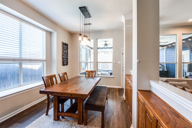 dining space featuring dark wood-type flooring