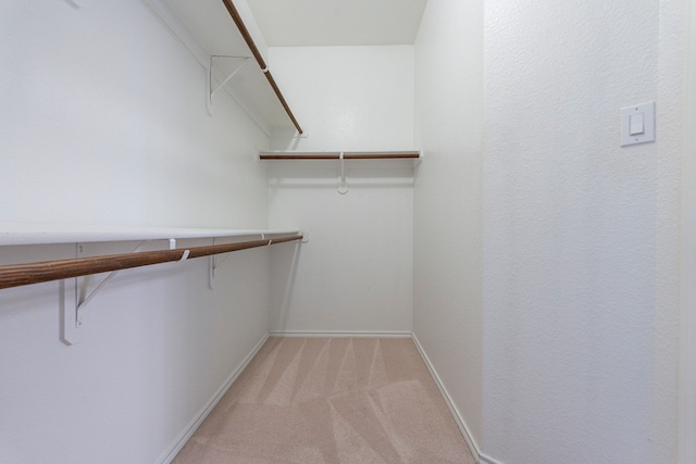 walk in closet with light colored carpet