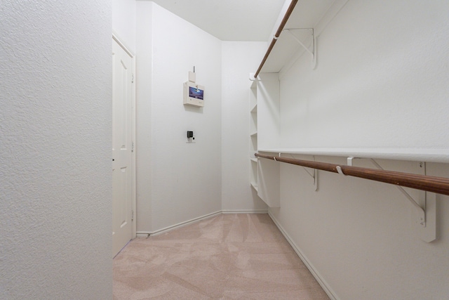 spacious closet with light carpet