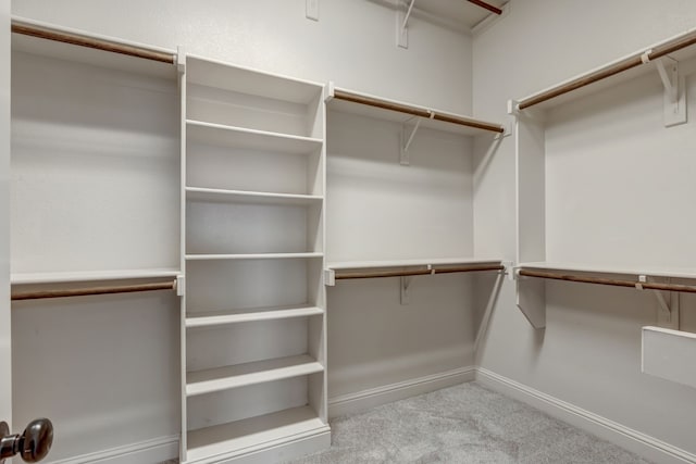 spacious closet featuring light colored carpet