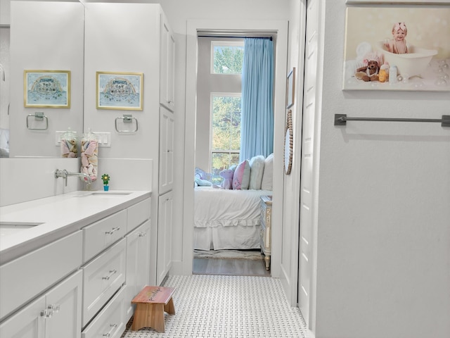 bathroom featuring hardwood / wood-style flooring and vanity