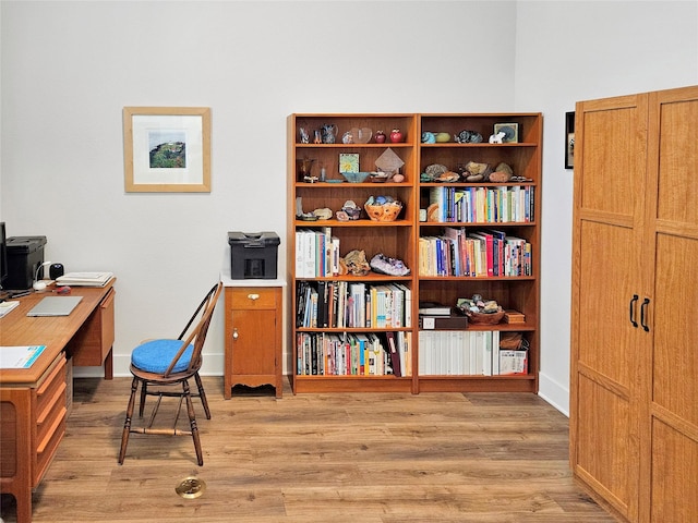 office featuring light hardwood / wood-style flooring