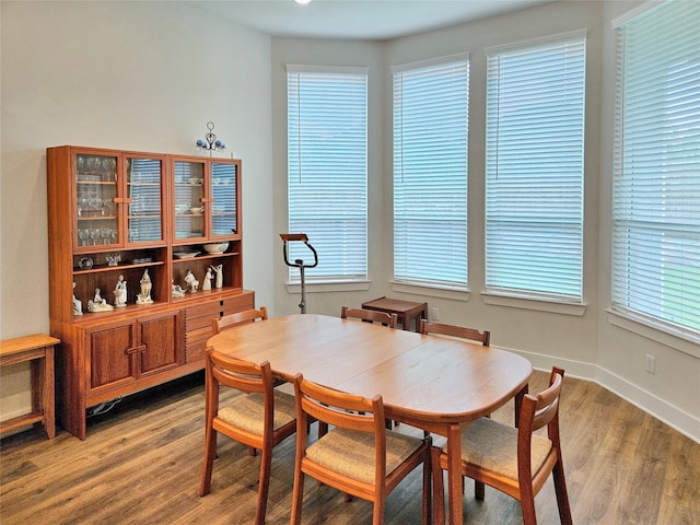 dining area with hardwood / wood-style flooring and a wealth of natural light