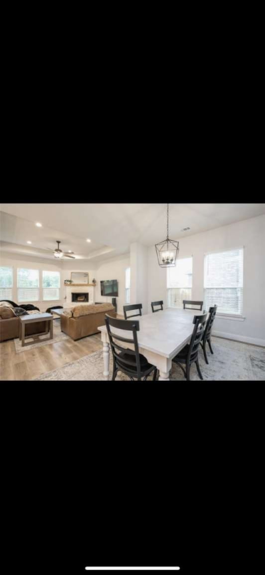 dining space featuring a healthy amount of sunlight, ceiling fan, and light hardwood / wood-style floors