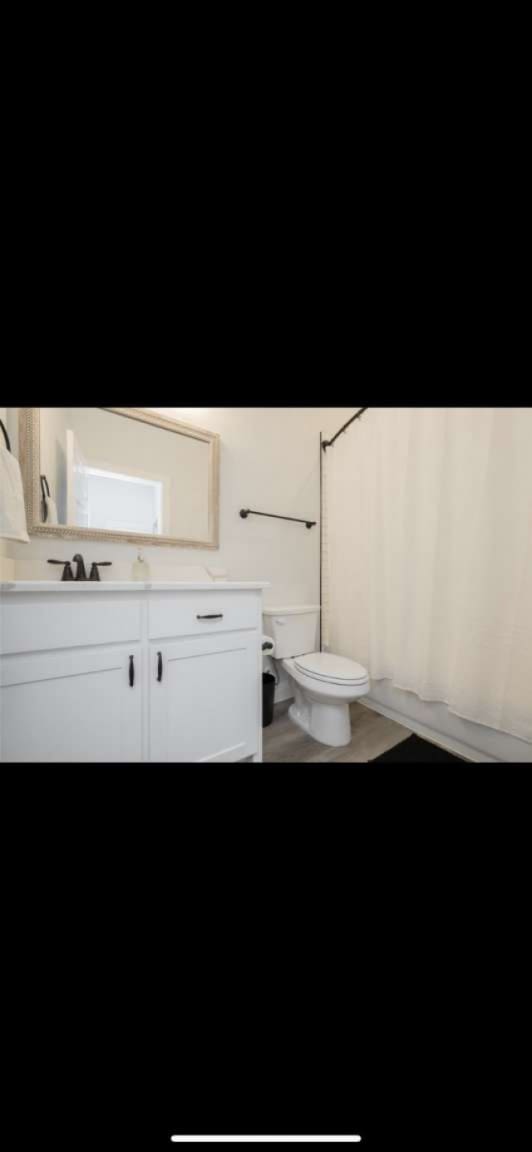 bathroom featuring a shower with curtain, wood-type flooring, toilet, and vanity