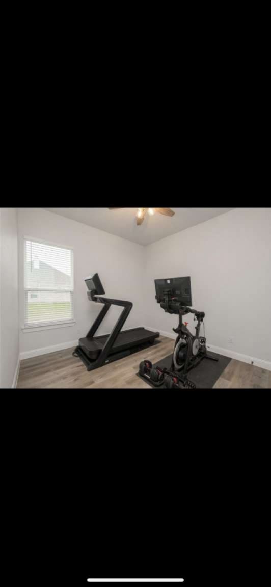 workout room with ceiling fan and hardwood / wood-style floors