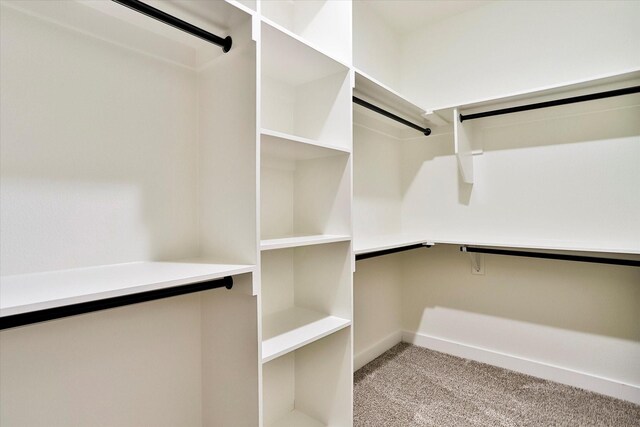 spacious closet with light carpet