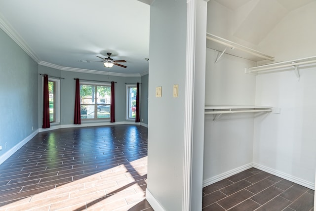 spacious closet featuring ceiling fan and dark hardwood / wood-style floors