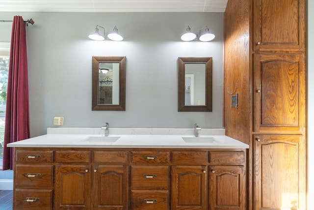 bathroom with vanity