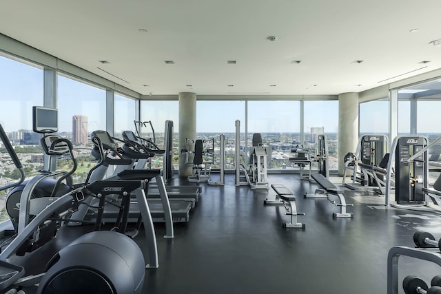 exercise room featuring floor to ceiling windows and plenty of natural light