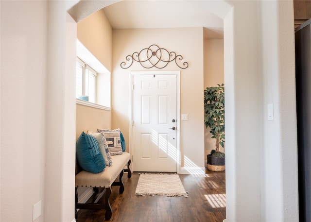 entrance foyer featuring dark hardwood / wood-style floors