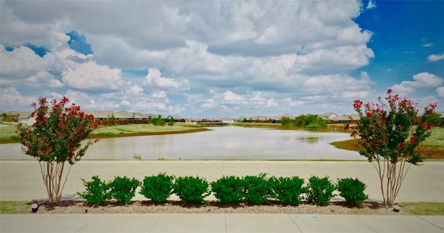 view of water feature