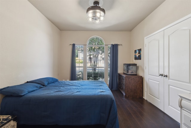 bedroom featuring dark hardwood / wood-style floors and a closet