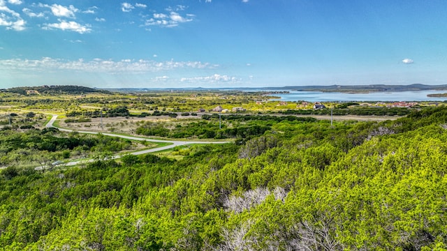 Listing photo 2 for TBD Evening Primrose Dr, Possum Kingdom Lake TX 76449