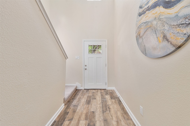 doorway featuring hardwood / wood-style floors