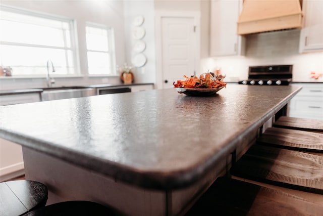 kitchen featuring black range oven, white cabinetry, sink, and ventilation hood