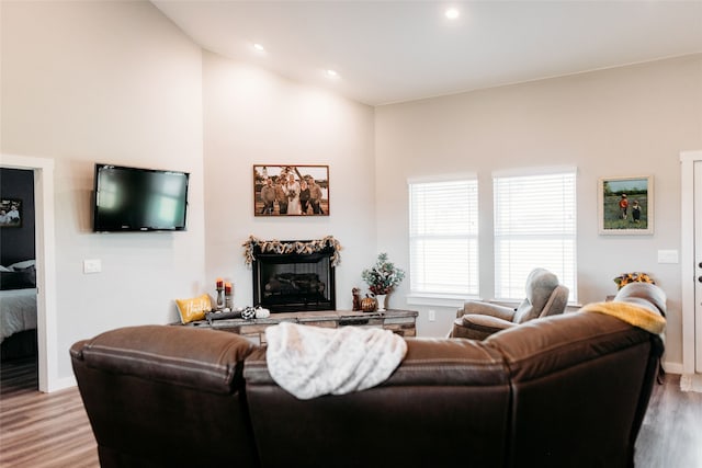 living room featuring light hardwood / wood-style flooring and vaulted ceiling