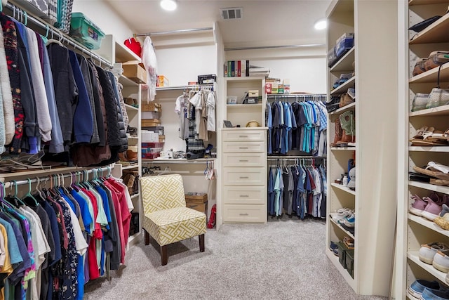 walk in closet with light colored carpet