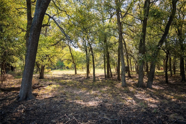 Listing photo 3 for TBDCOUNTYROAD3660 County Road 3660, Ladonia TX 75449