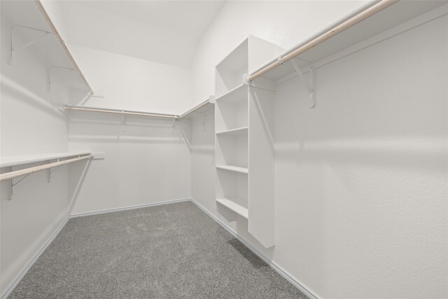 7701 Oakmeade St, Joshua, TX 76058 - walk in closet with carpet flooring