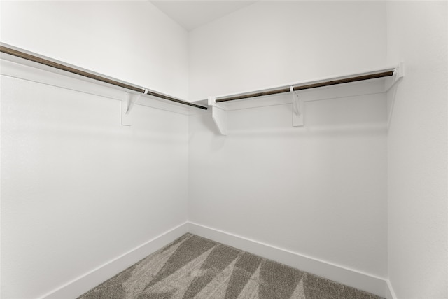 walk in closet with carpet flooring