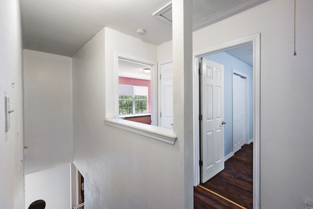 hall featuring dark hardwood / wood-style floors