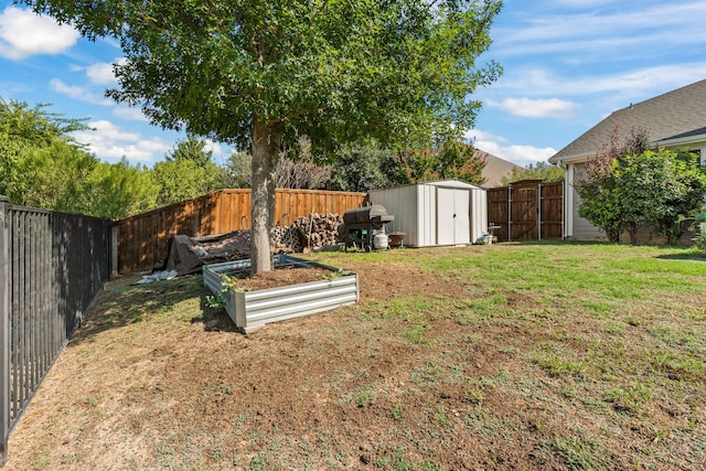 view of yard featuring a storage unit