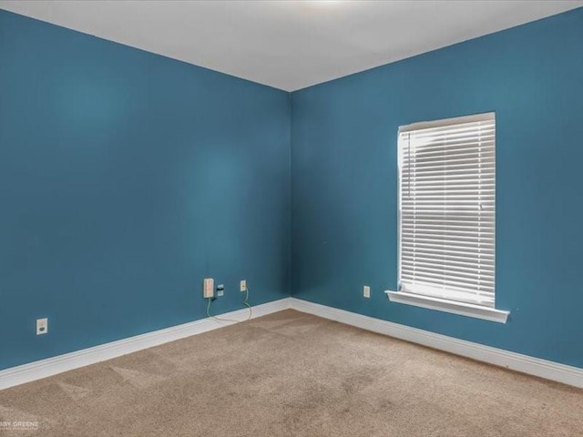 spare room with carpet floors